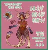 !CLOSED! [ADOPT AUCTION] MOTH DUMBO REX RAT