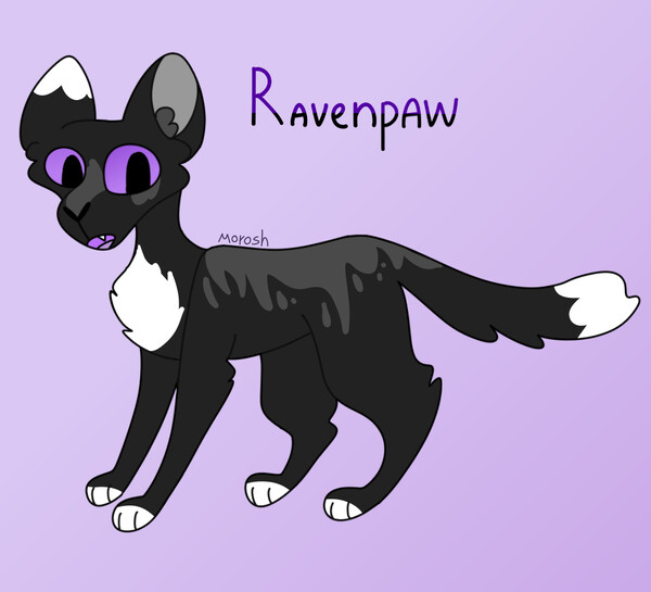 Ravenpaw (Warrior Cats) by Mekaska -- Fur Affinity [dot] net