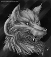 Antar Portrait