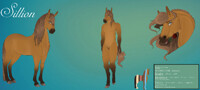 Sillion - Reference Sheet [SFW] - 2020