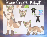 Alien Coyote - SOLD