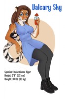 Valcary Sky reference sheet