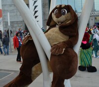 FC 2020 Lounging Bunny