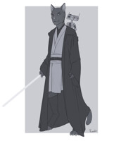 Vasharr Jedi Knight