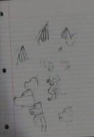 sketches