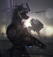 ISNA combat units