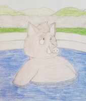 Gavin's Pool
