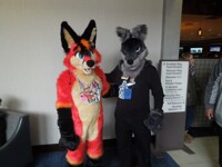 Fur Squared 2020 19