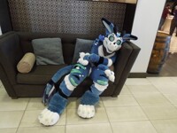 Fur Squared 2020 37