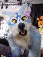 Fur Squared 2020 43