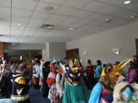 Fur Squared 2020 82