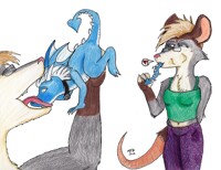 Laurel noms Hida