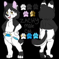 Zach pad ref