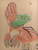 smug salmon