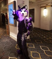 ANE2020 - Zeek Husky