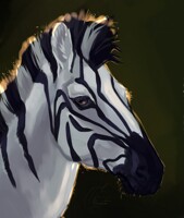 Zebras (commission done)