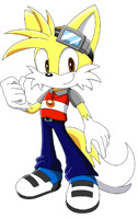 Super Sonic and Super Tails Fusion for hker021 — Weasyl