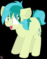 Sandbar MLP vector