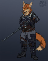 2/20: Metro Fox