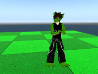 My SL Fursona Avi