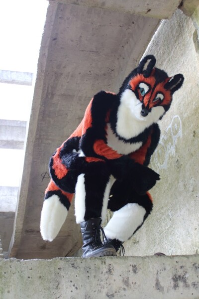 Artwork Gallery for world-fox -- Fur Affinity [dot] net