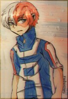 Todoroki Shoto!