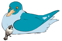 Two Birds