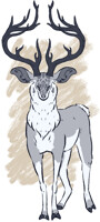 Its Big Antler Time