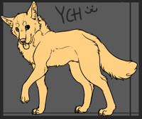 YCH - Canine