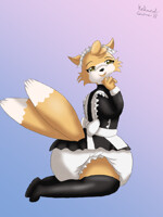 Khloe's Gold Standard Diaper