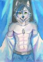 Night guest