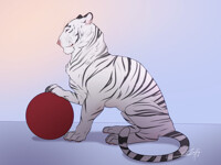 Just big cat