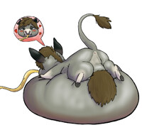 Big Belly Donkey