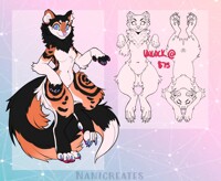 ROSE PINE MARTEN ADOPT [CLOSED]