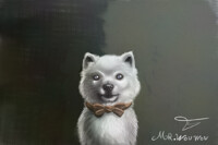 Gabe the dog