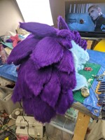 Purple Pangolin Partial Photo From Behind!