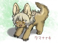 Tamananachi