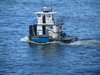 Navy Week 2012, barge tug Innovator.