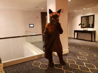 ANE2020 - Kekepania Fruit Bat