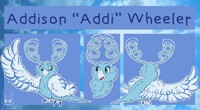 [Commission] Addi Character Design