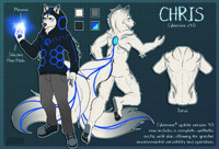 Cybernine v4.0 Reference Sheet