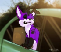 YCH 007