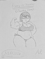 Penny Ko Needles (Chubby Form)