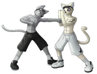 Fight match