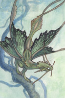 Green Moth Dragon
