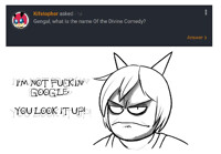 CuriousCat Q&A: The Inquisition