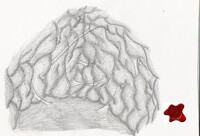 Trigger Request: POV4