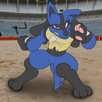 Lucario 12