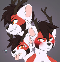 A selection of Stamper