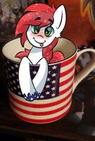 Patriot Power in a mug